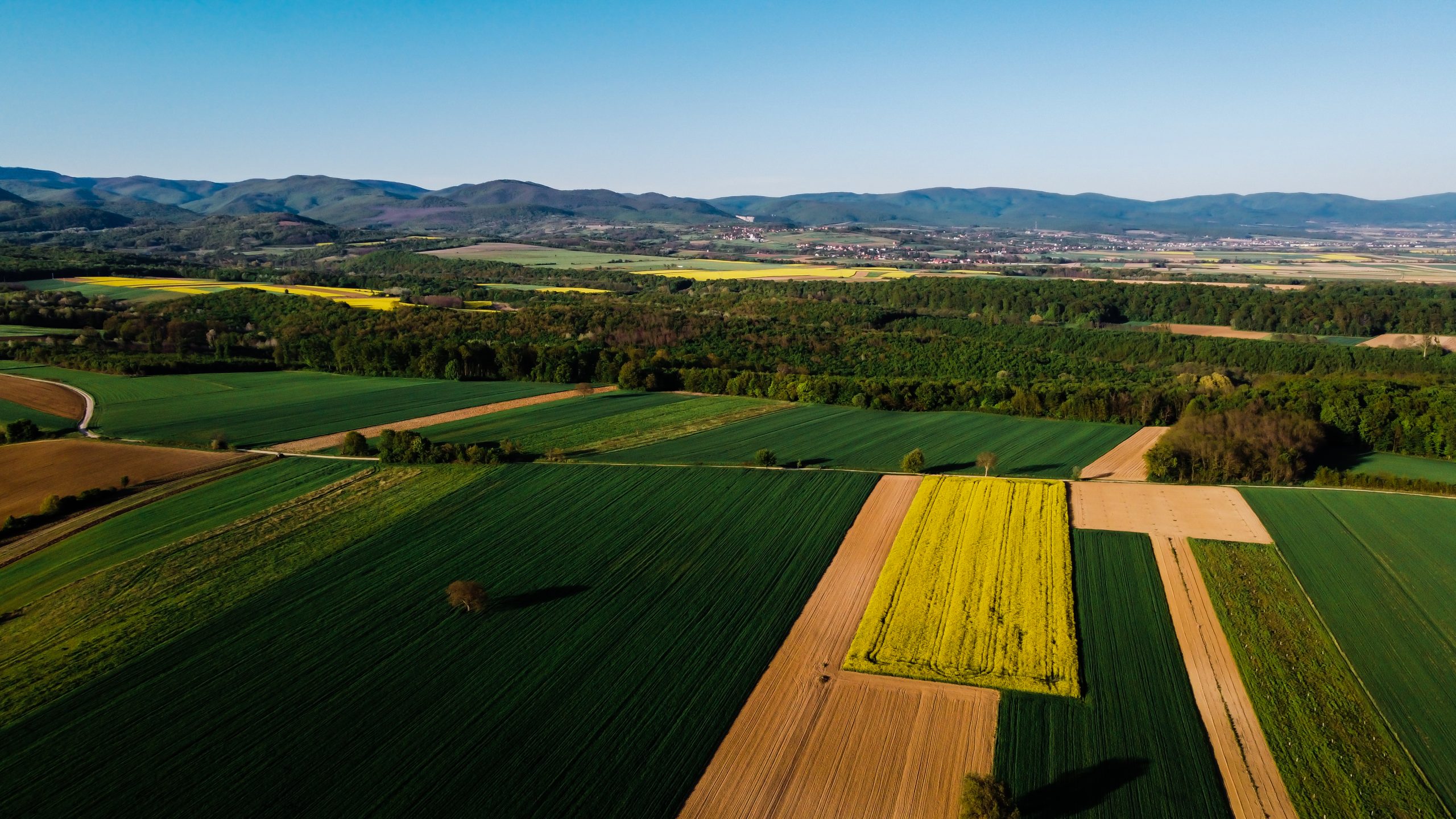 Javni natječaj za prodaju poljoprivrednog zemljišta u vlasništvu Republike Hrvatske na području Općine Velika